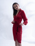 Premium Satin Maroon Regular fit dress